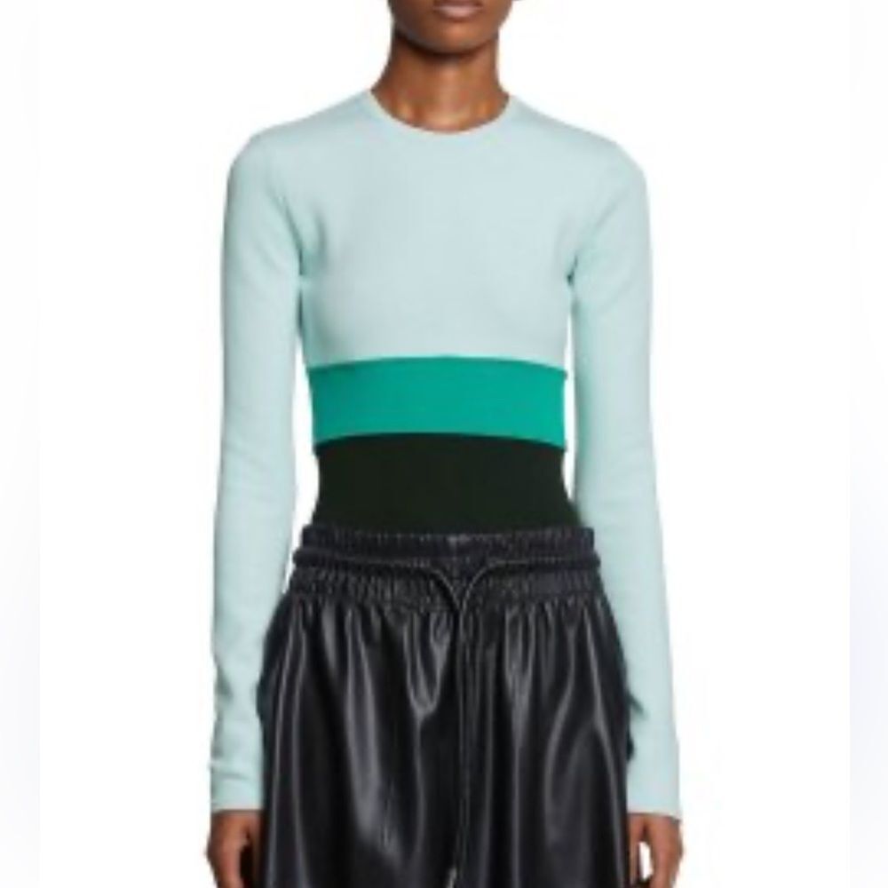 Proenza Schouler Mint, Teal & Black Colorblock Long-Sleeve Top medium
